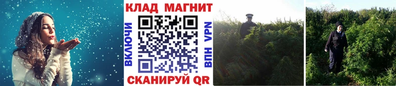 Купить наркотики сайты Сарапул МДМА Амфетамин Меф Гашиш Марихуана КОКАИН