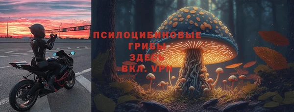кокс Абаза