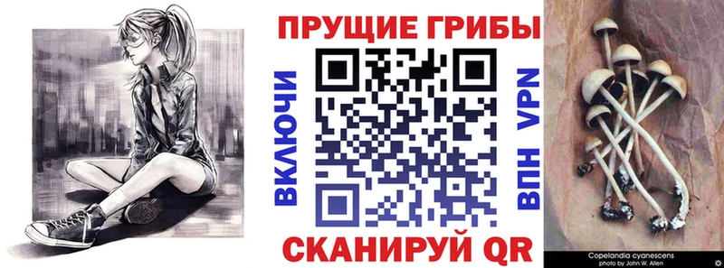 Галлюциногенные грибы Magic Shrooms  OMG ССЫЛКА  Сарапул 